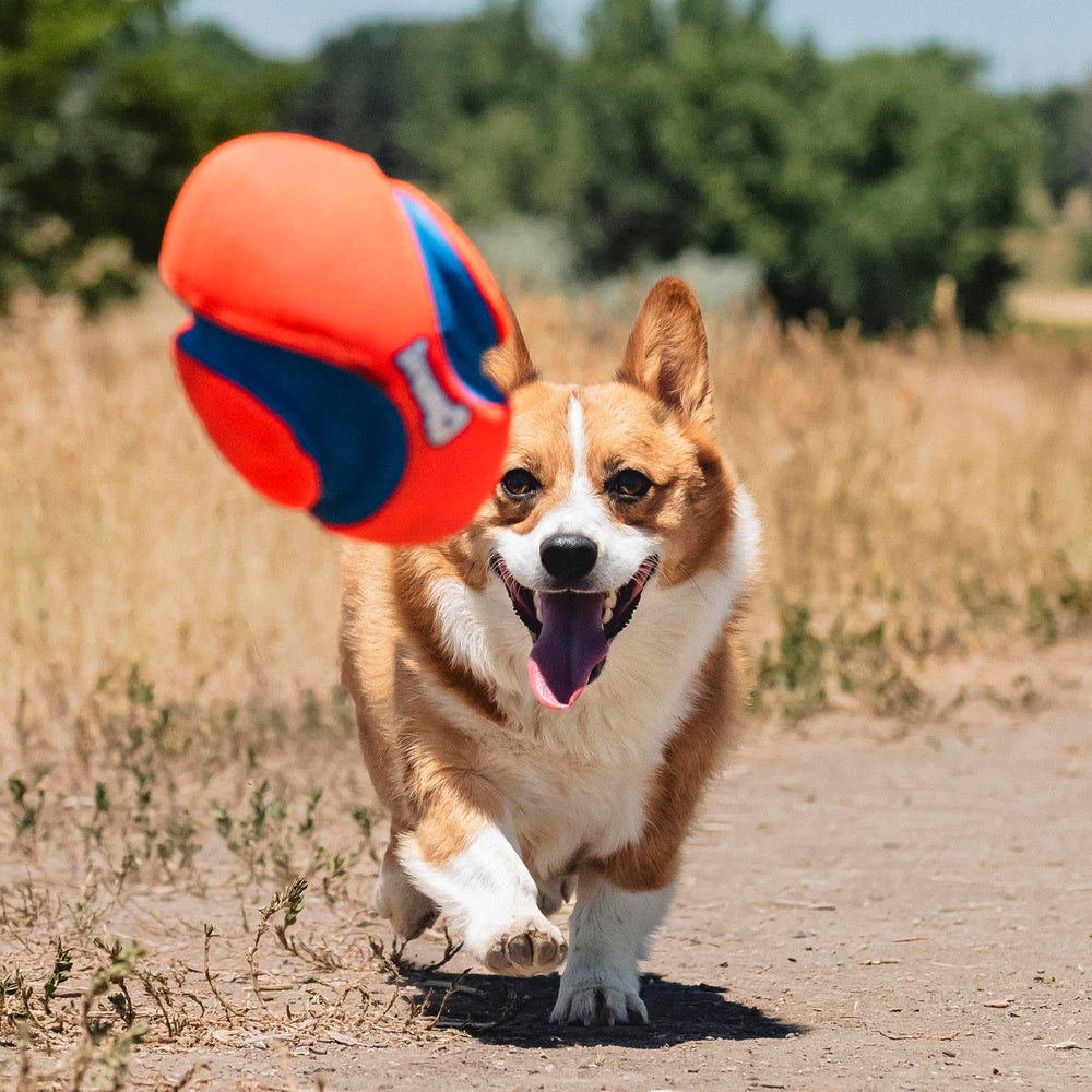 Chuckit! Fumble Fetch easy pickup helps quick, responsive play sessions