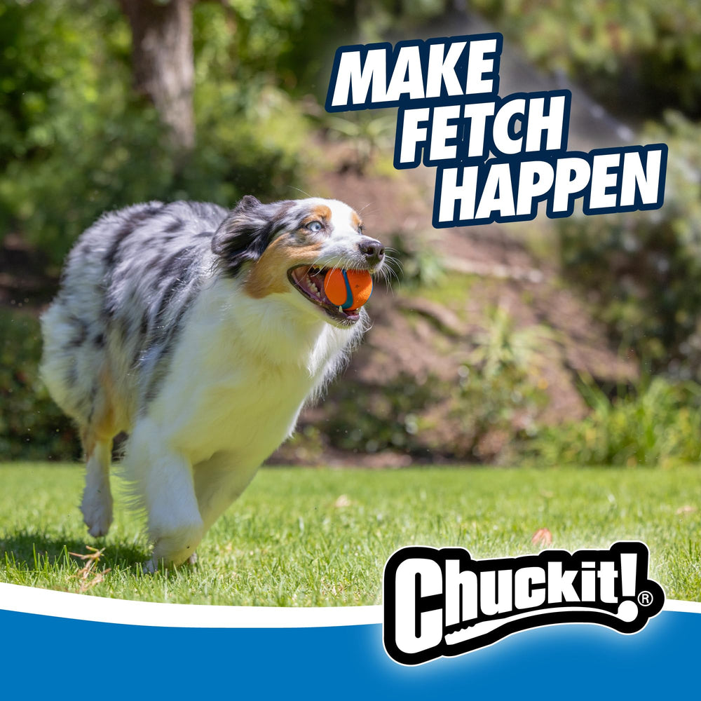 Chuckit Gen 1 Ball being fetched by a dog in the yard
