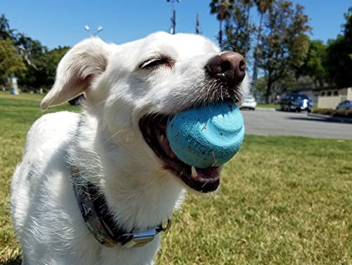 Chuckit Gen 1 Floating ball skimming water during lake play
