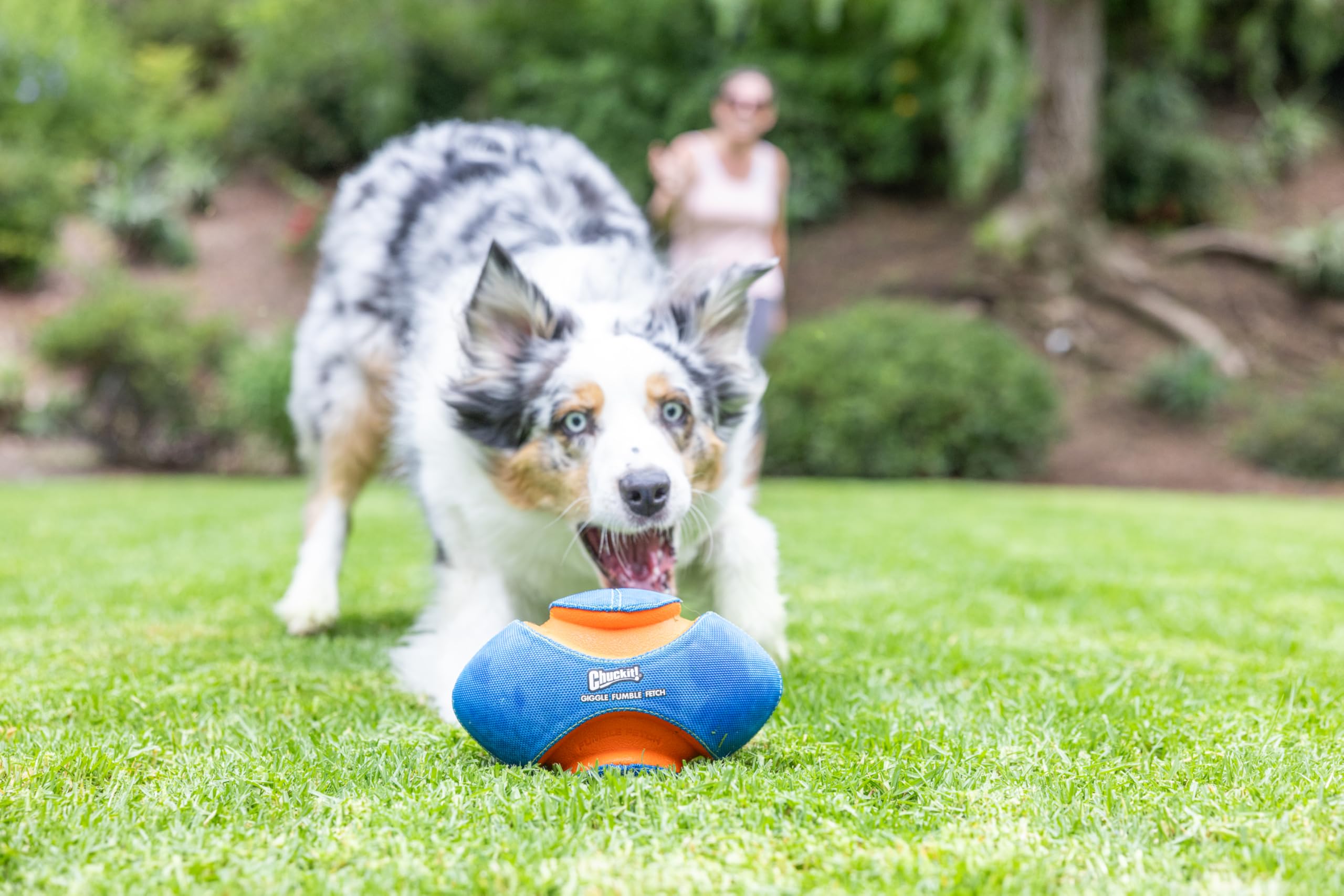 Chuckit! Giggle Fumble football-shaped toy sparks active games.