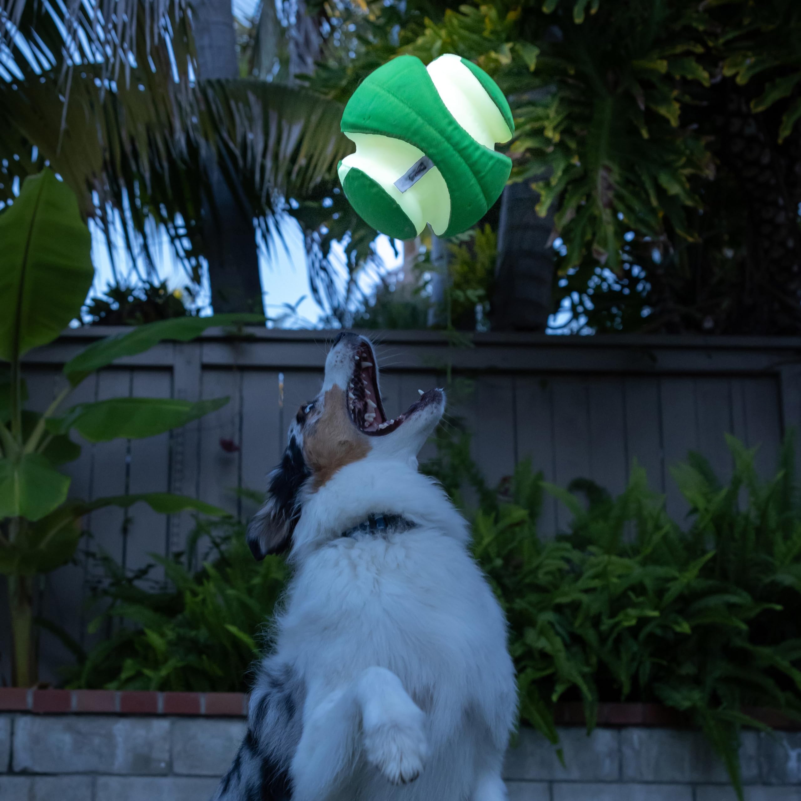 Chuckit! High-visibility glow colors help locate the ball in grass or water