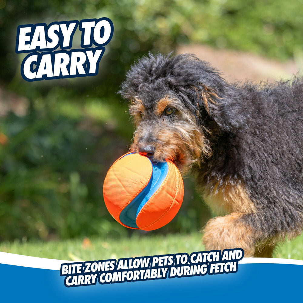 Chuckit! Kick Fetch Ball is 8 inches in diameter for large dogs.