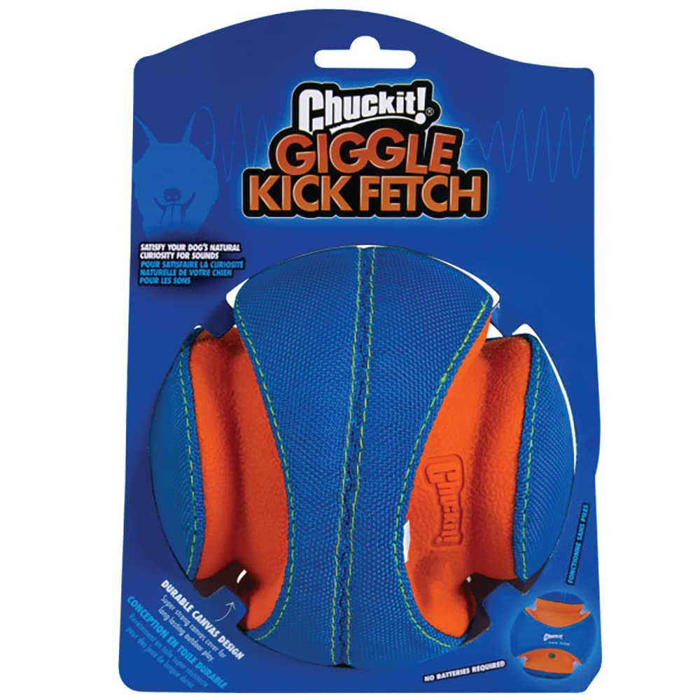 Chuckit Kick Fetch ball promotes energetic exercise during playful fetch sessions.