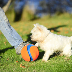 Chuckit! Kick Fetch Ball floats on water for splashy outdoor play.