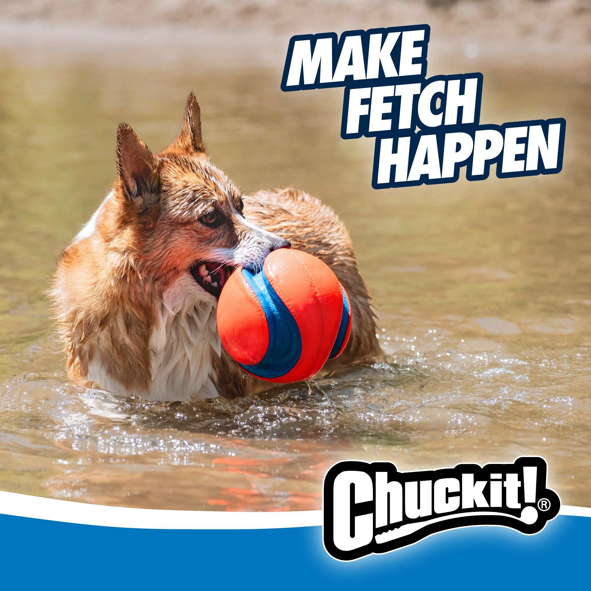 Easy pickup after fetch with Chuckit! Kick Fetch Ball during play.