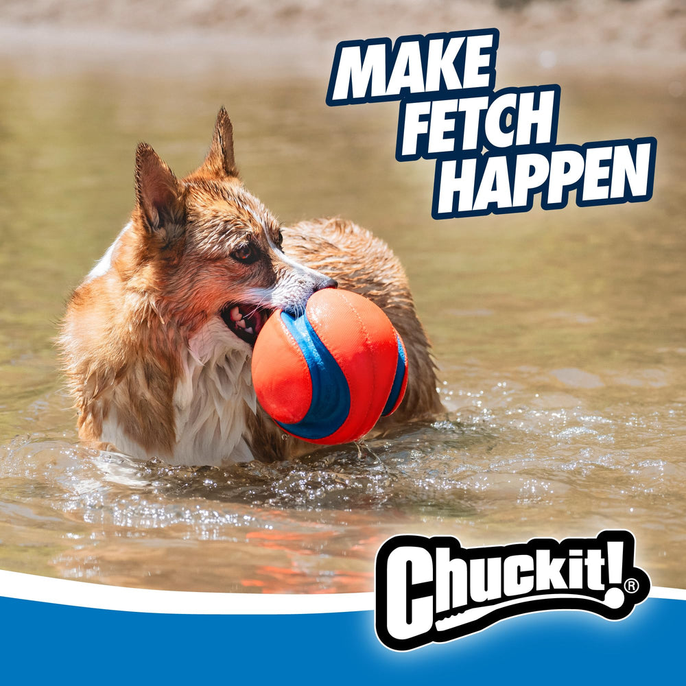 Easy pickup after fetch with Chuckit! Kick Fetch Ball during play.