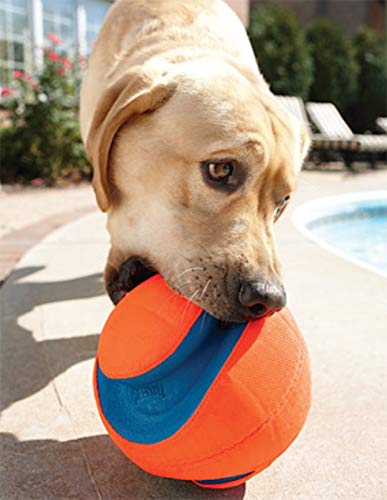Chuckit! Kick Fetch Ball small giggle-fetch, giggle sounds add a playful twist during rolls.