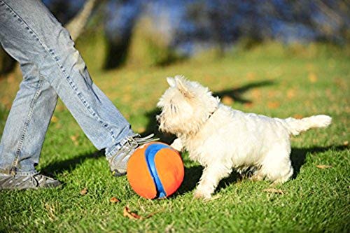 Chuckit! Kick Fetch Ball small grooves closeup, highlights deep grooves for a lively bounce.