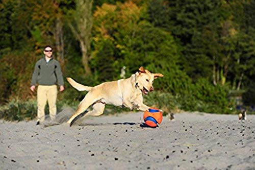 Chuckit! Kick Fetch Ball small high-visibility-colors, easy to spot in grass or water.