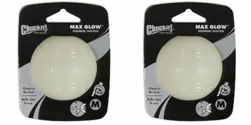 Chuckit Max Glow Ball medium, glow toy for nighttime fetch sessions.