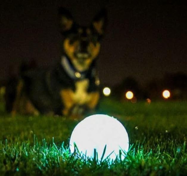 Chuckit glow ball enabling visible night play outdoors