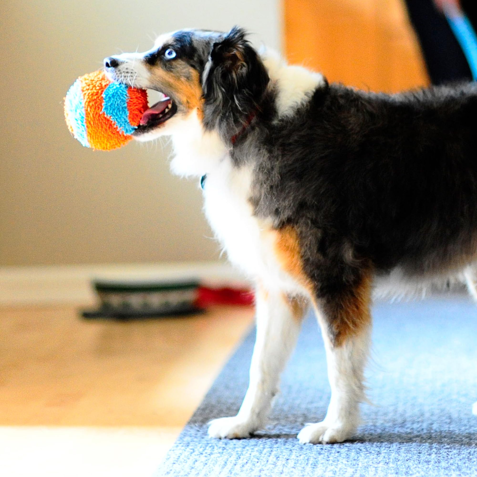 Not a chew toy; Chuckit Indoor Fetch Ball requires supervision during play.