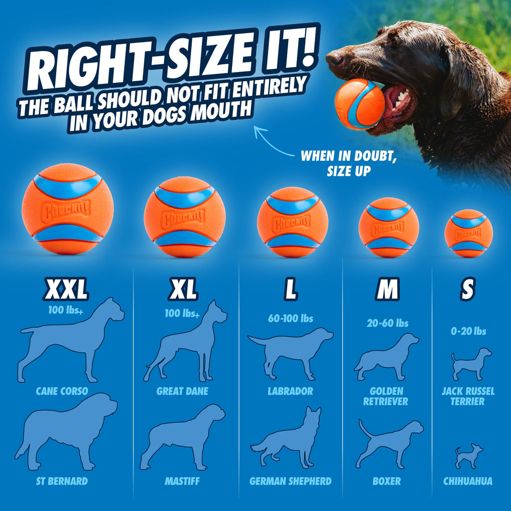 Chuckit! Pro glow-ball high bounce adds lively, safe nighttime fetch.