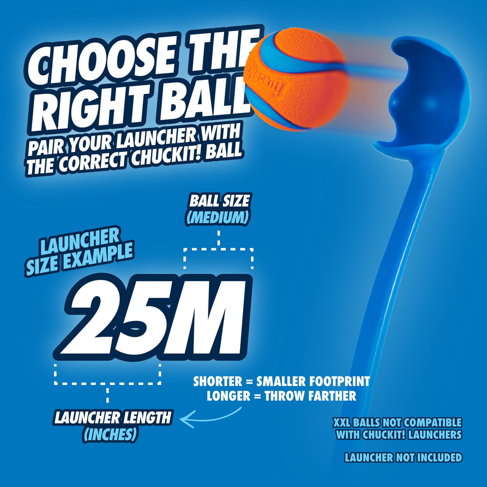 Chuckit! Pro indoor-outdoor play ready for versatile fetch sessions.