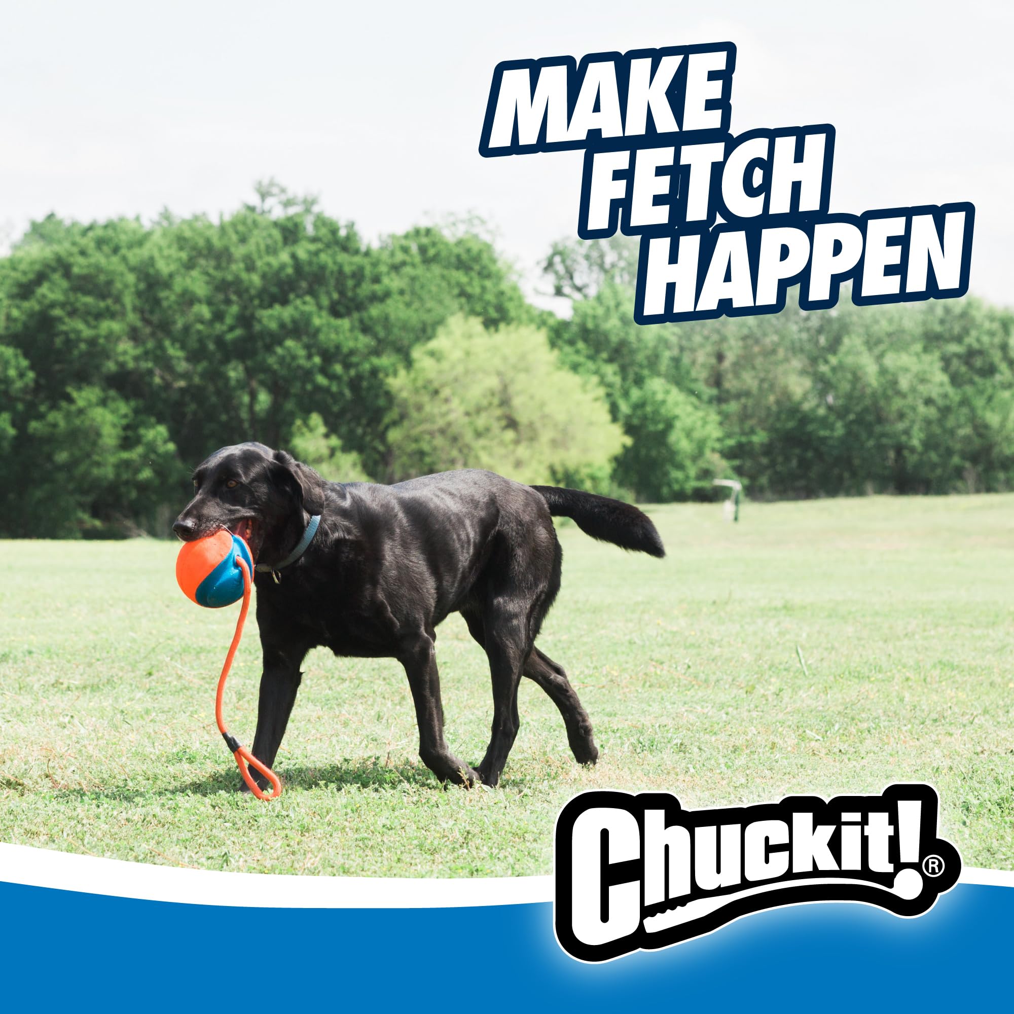 Chuckit! Rope Fetch combines kick, tug, and fetch in one flexible toy.