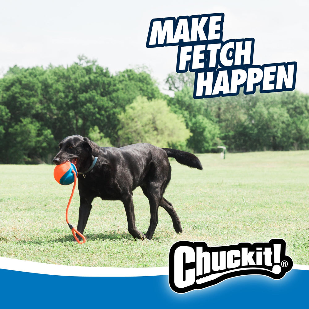 Chuckit! Rope Fetch combines kick, tug, and fetch in one flexible toy.