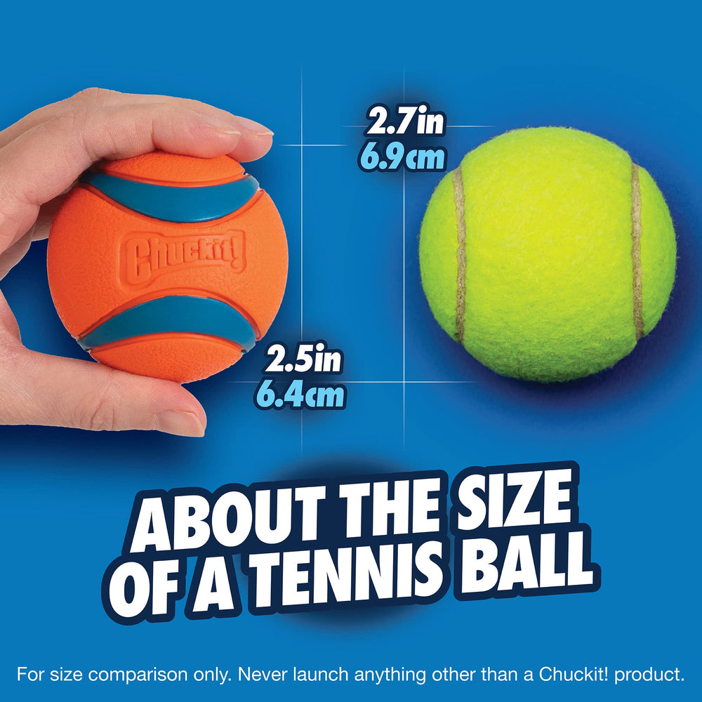 Dog catching the ChuckIt! Ultra Ball during fetch