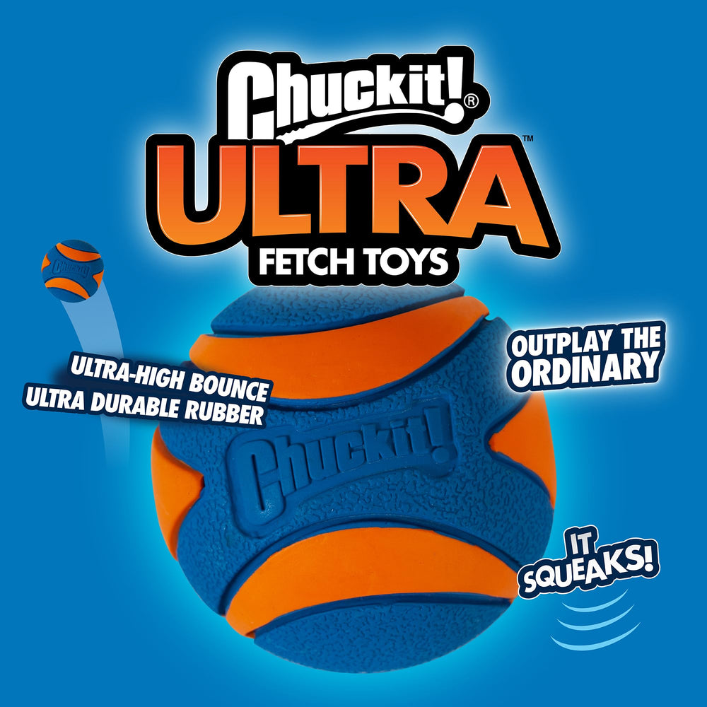 Chuckit! Ultra Ball fetch toy options to inspire daily play.