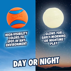 Chuckit Ultra Ball Large—floats in water for versatile lake or pool fetch.
