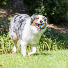 Chuckit! Ultra Ball rugged core for durability without harming your dog's mouth.