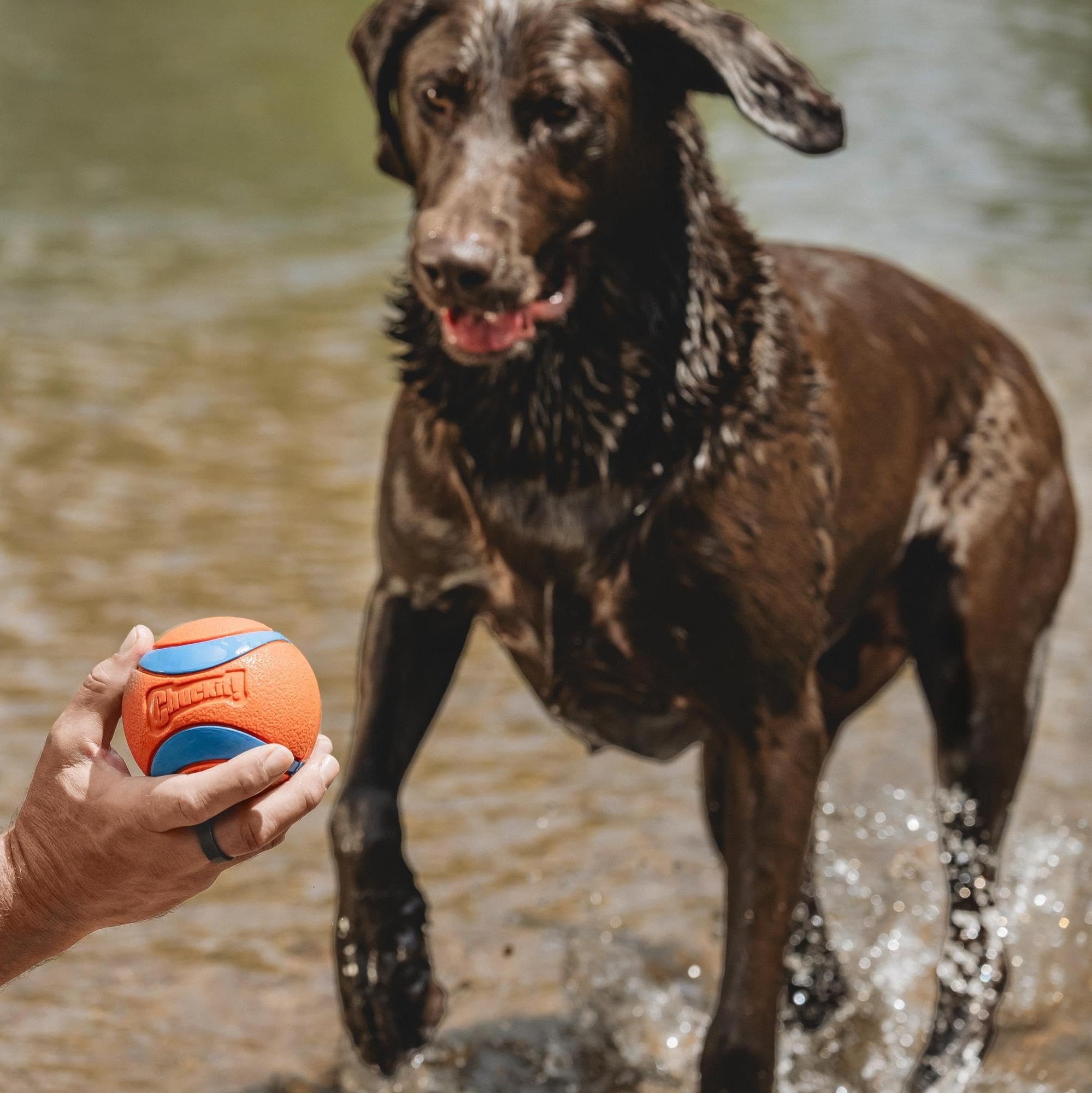 Chuckit Ultra Ball XXL textured surface for secure grip during play.