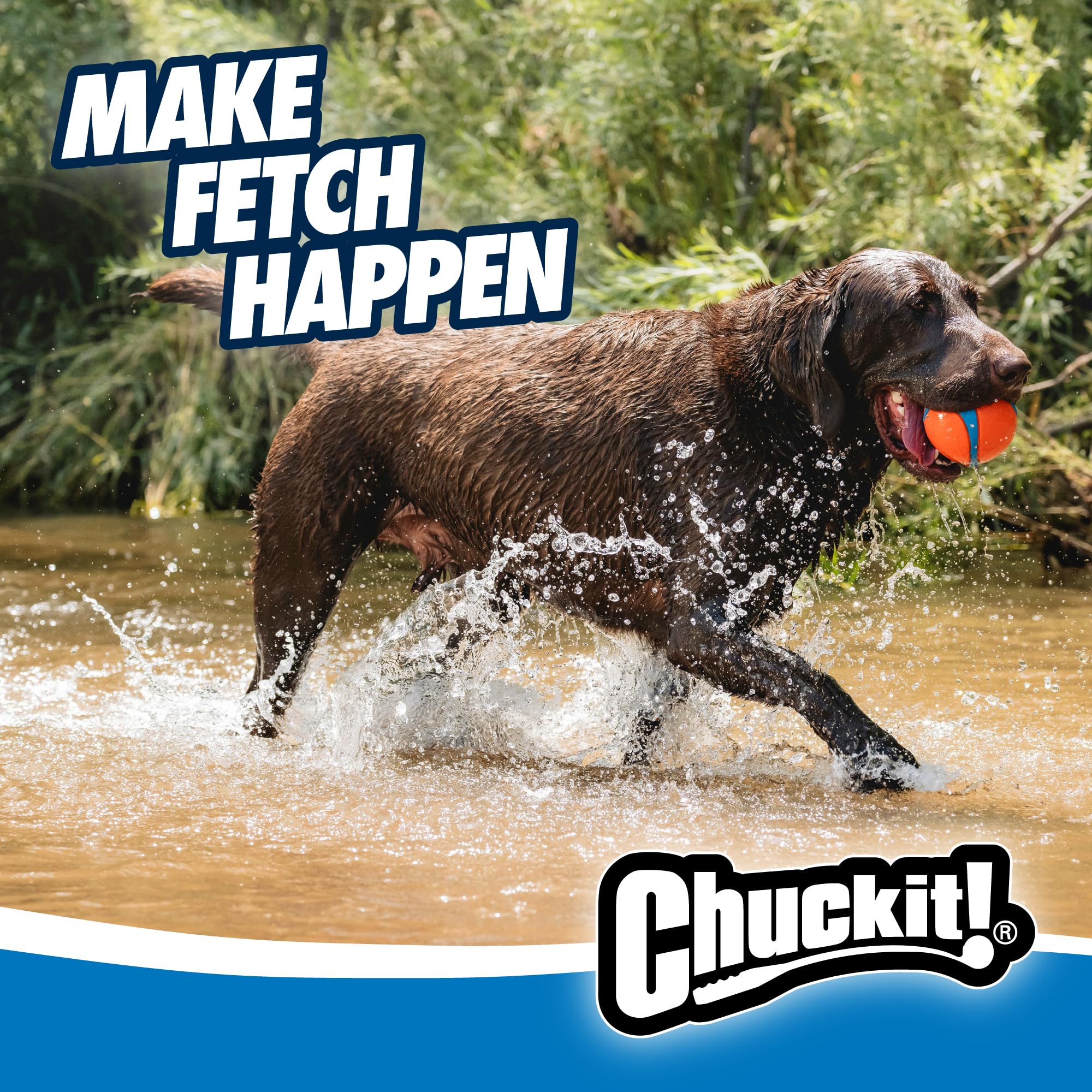 Chuckit Ultra Ball XXL thick rubber core built for rugged outdoor use.