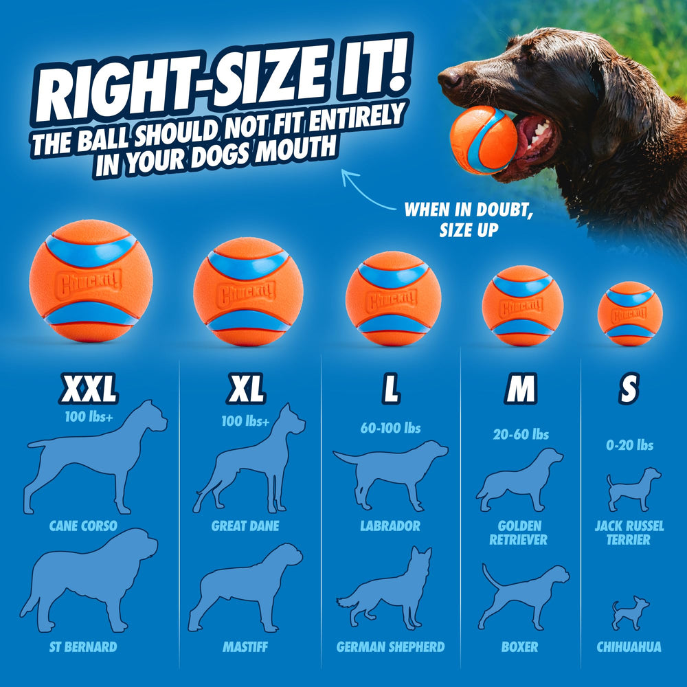 Chuckit Ultra Ball XXL floats on water for splashy outdoor games.