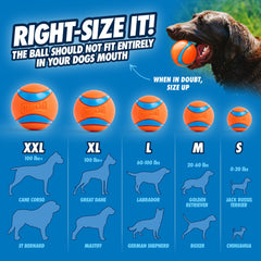 Chuckit Ultra Ball XXL floats on water for splashy outdoor games.