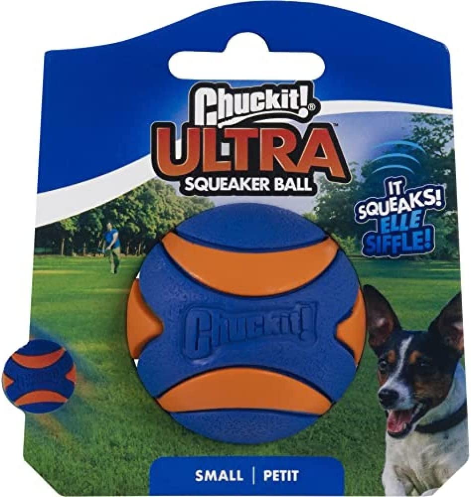 Chuckit! Ultra Squeaker Ball small in action for high energy games.
