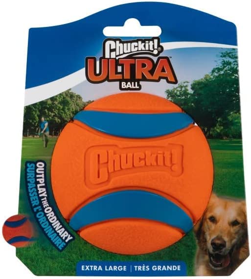 Large-dog friendly Chuckit! XL ball in vivid color for visibility.