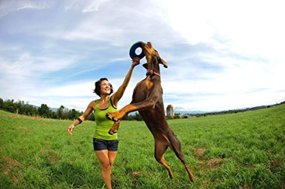 Durable, lightweight Zipflight ring designed for outdoor use and long sessions.