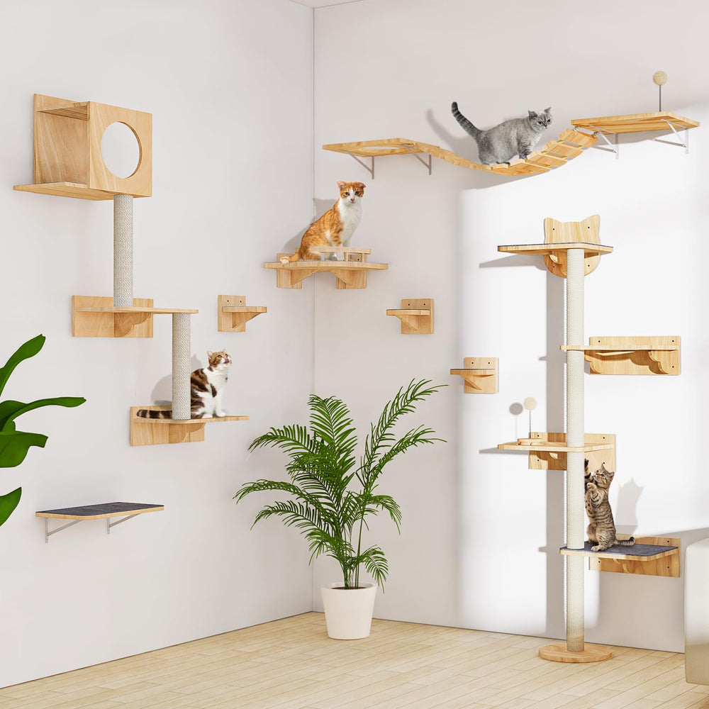 Chuiendi cat wall shelves sturdy triangular frame supports over 15 lbs