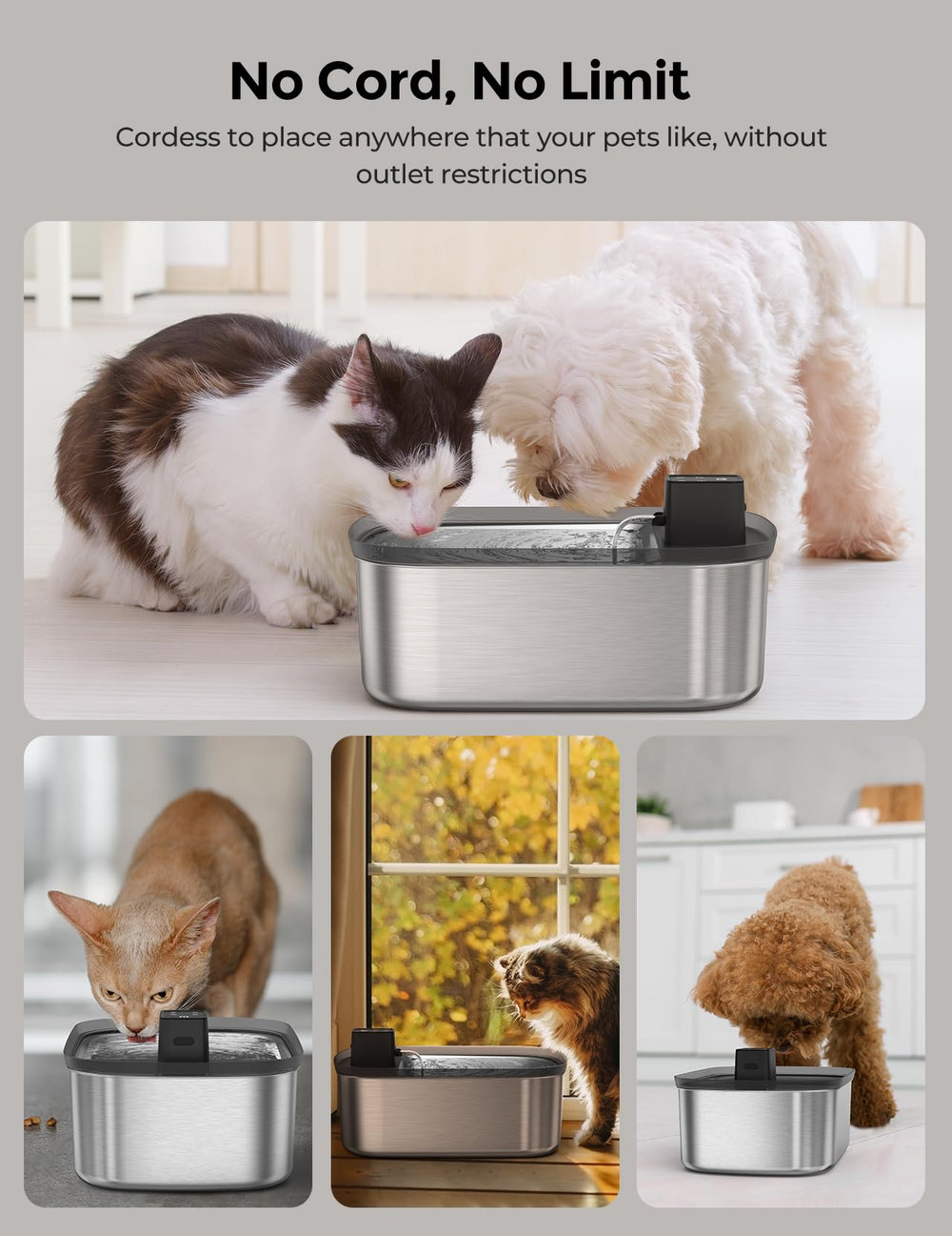 Chumajor interval dispense mode enabling timed refills to reduce waste.
