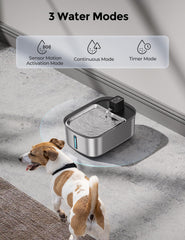 Chumajor large dog water fountain in quiet operation.