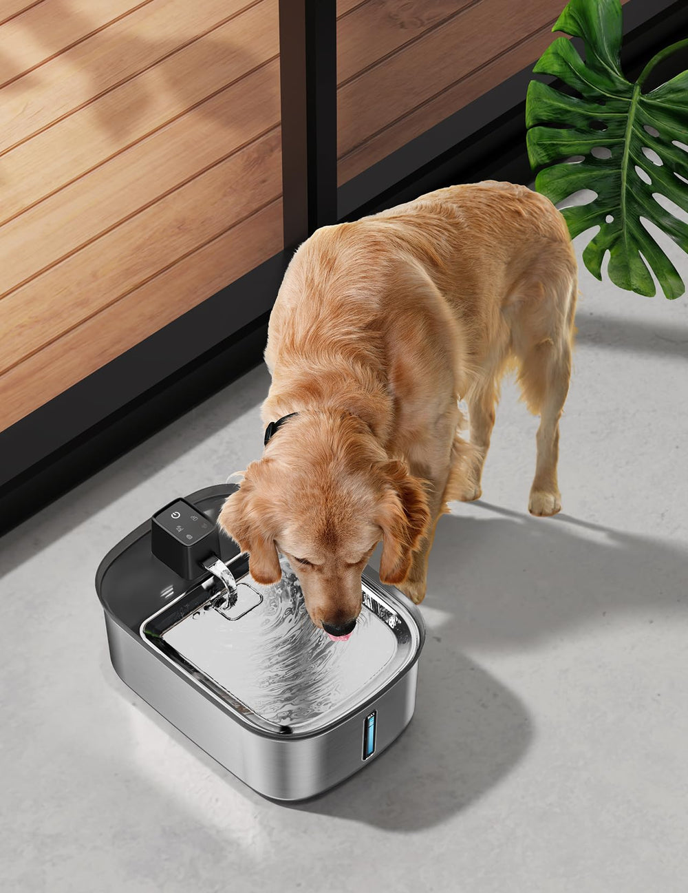 Chumajor multi-pet water fountain suitable for dogs and cats.