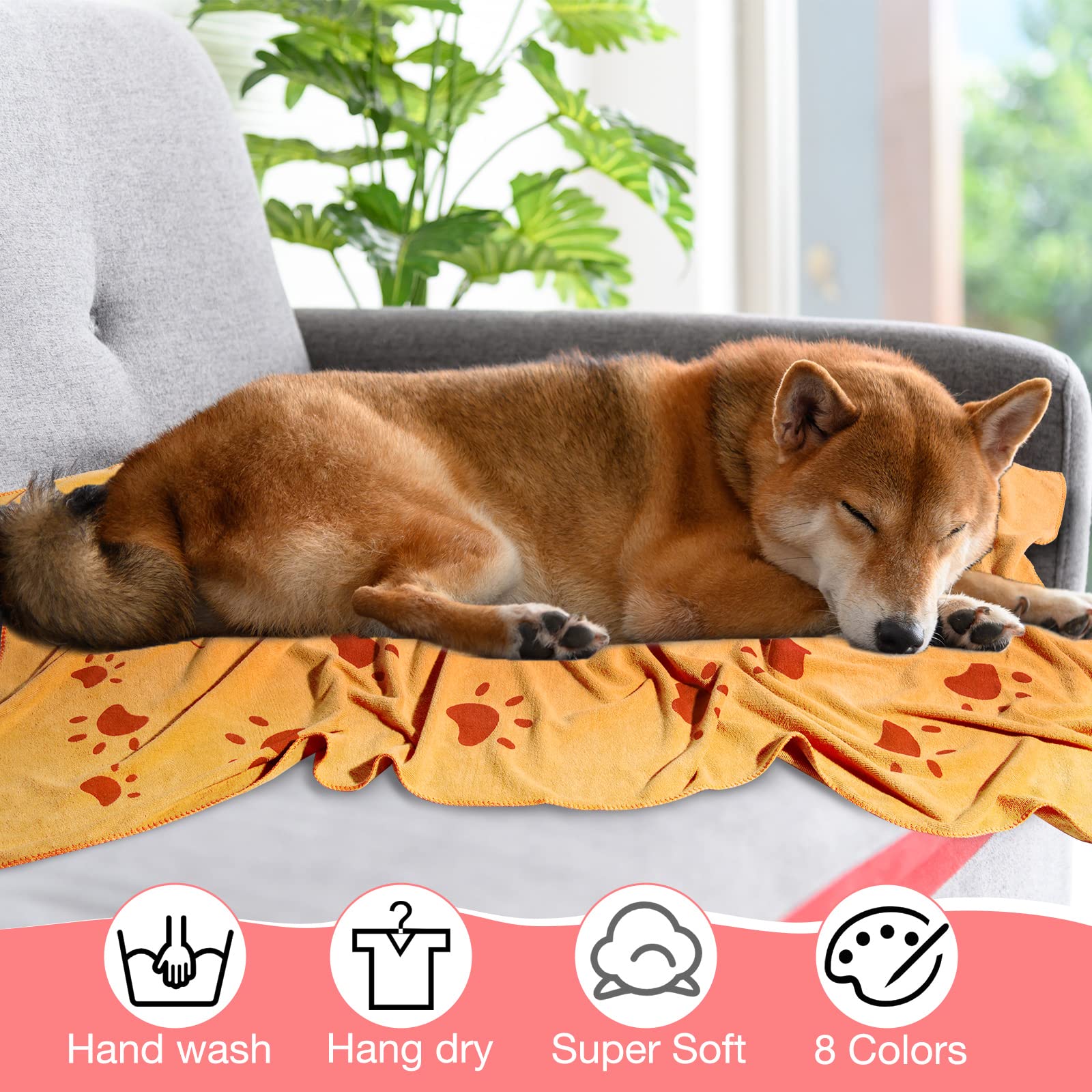 Chumia eight-color range offers easy matching with pet gear