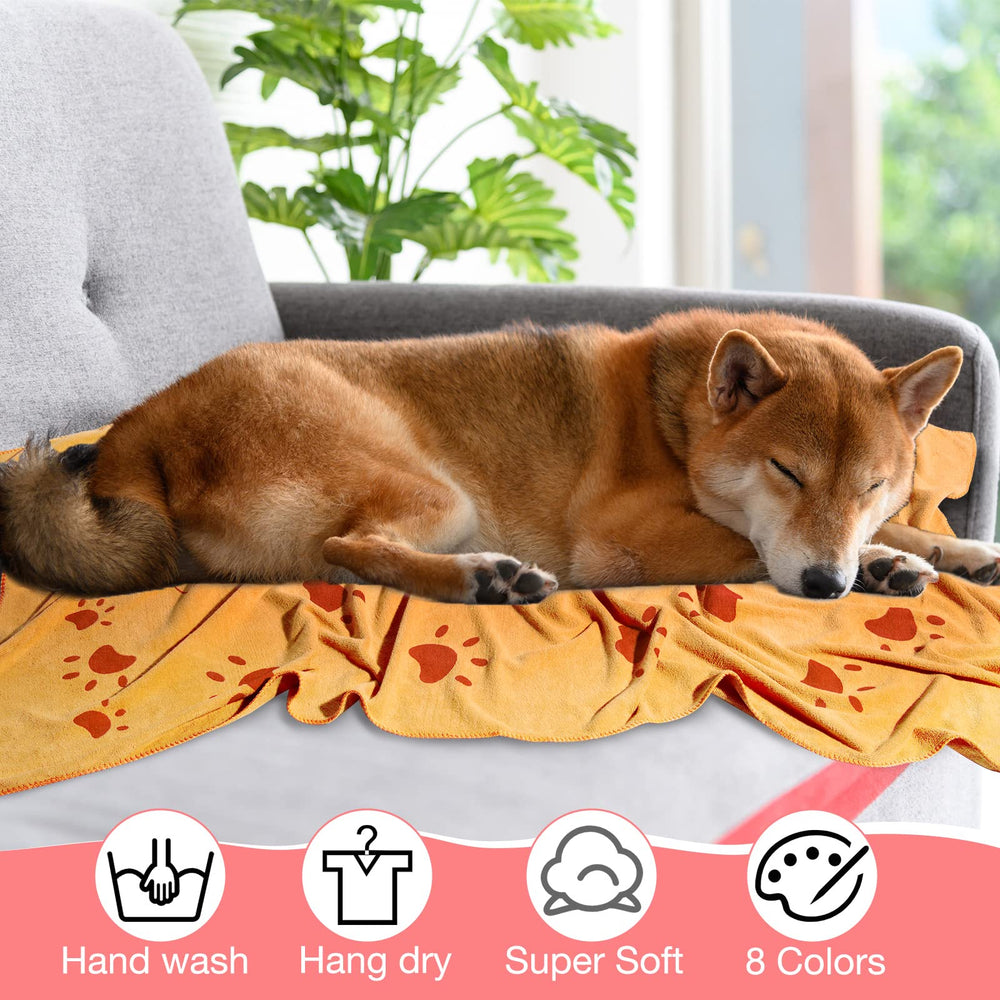 Chumia eight-color range offers easy matching with pet gear
