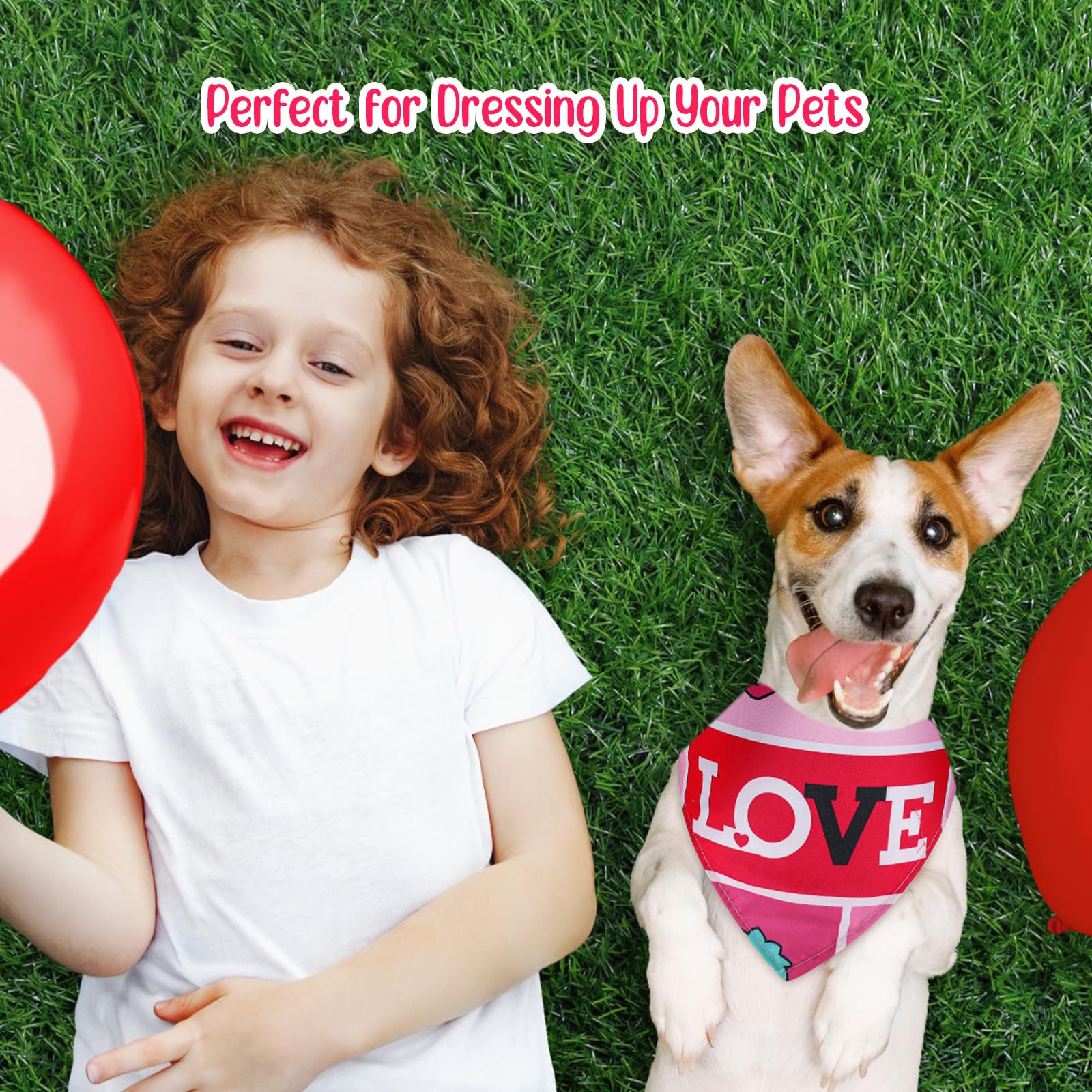 Chunful gift-ready dog bandana set for gifting