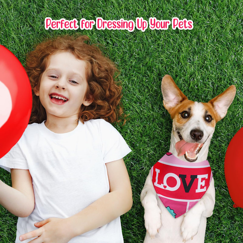Chunful gift-ready dog bandana set for gifting