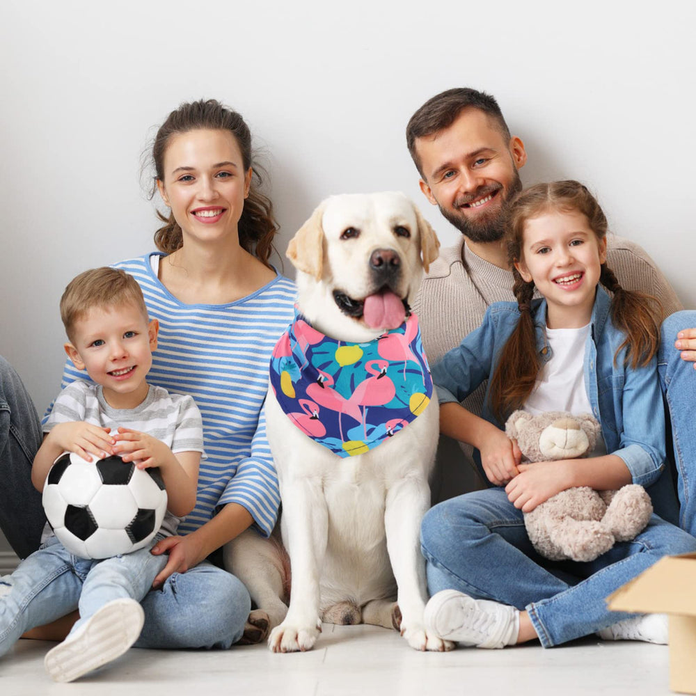 Chunful triangle kerchief-size bandana suitable for small to large dogs
