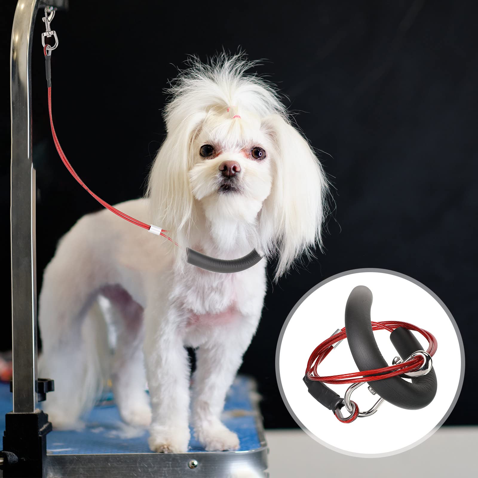 Chunful grooming loop adjustable buckle provides customizable fit
