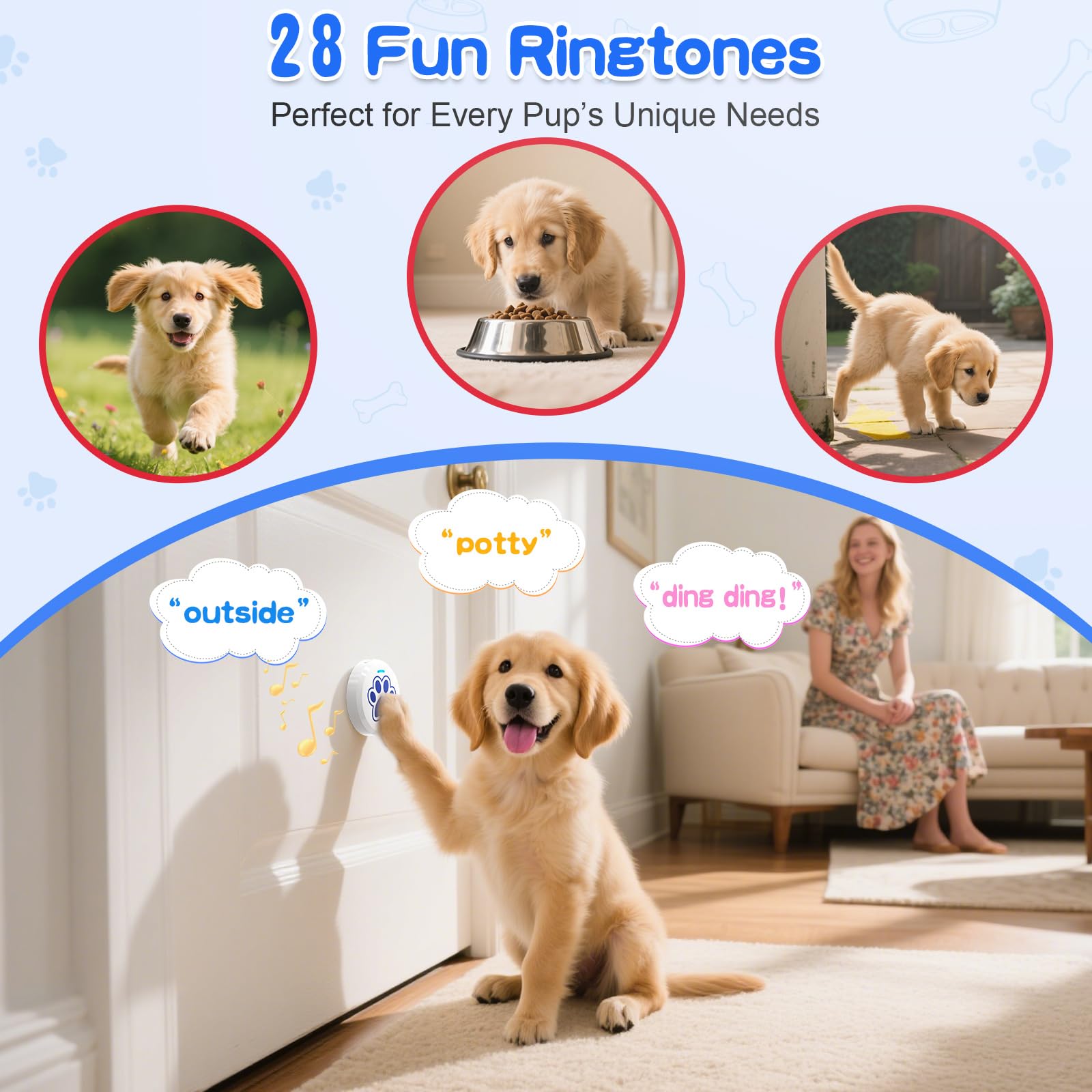 ChunHee multi-dog households with separate cues for each dog.