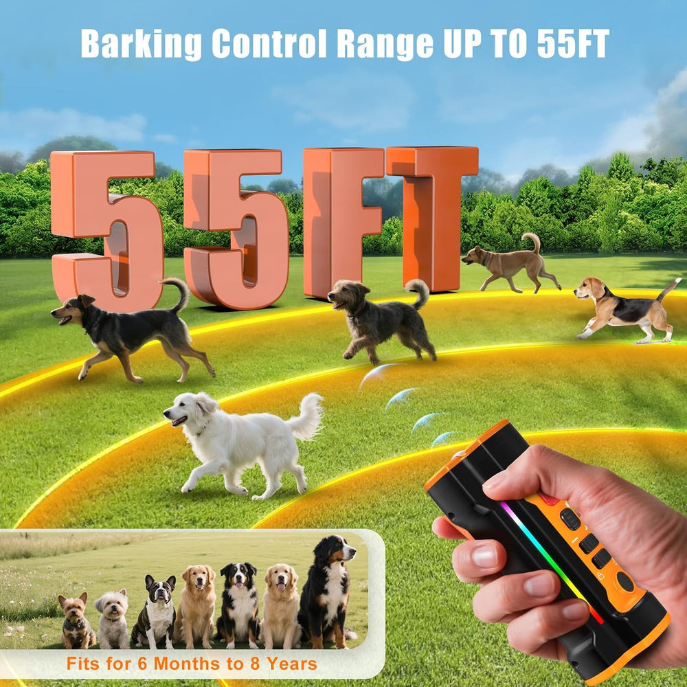 Chwwen night LED flashlight illuminates nighttime walks.