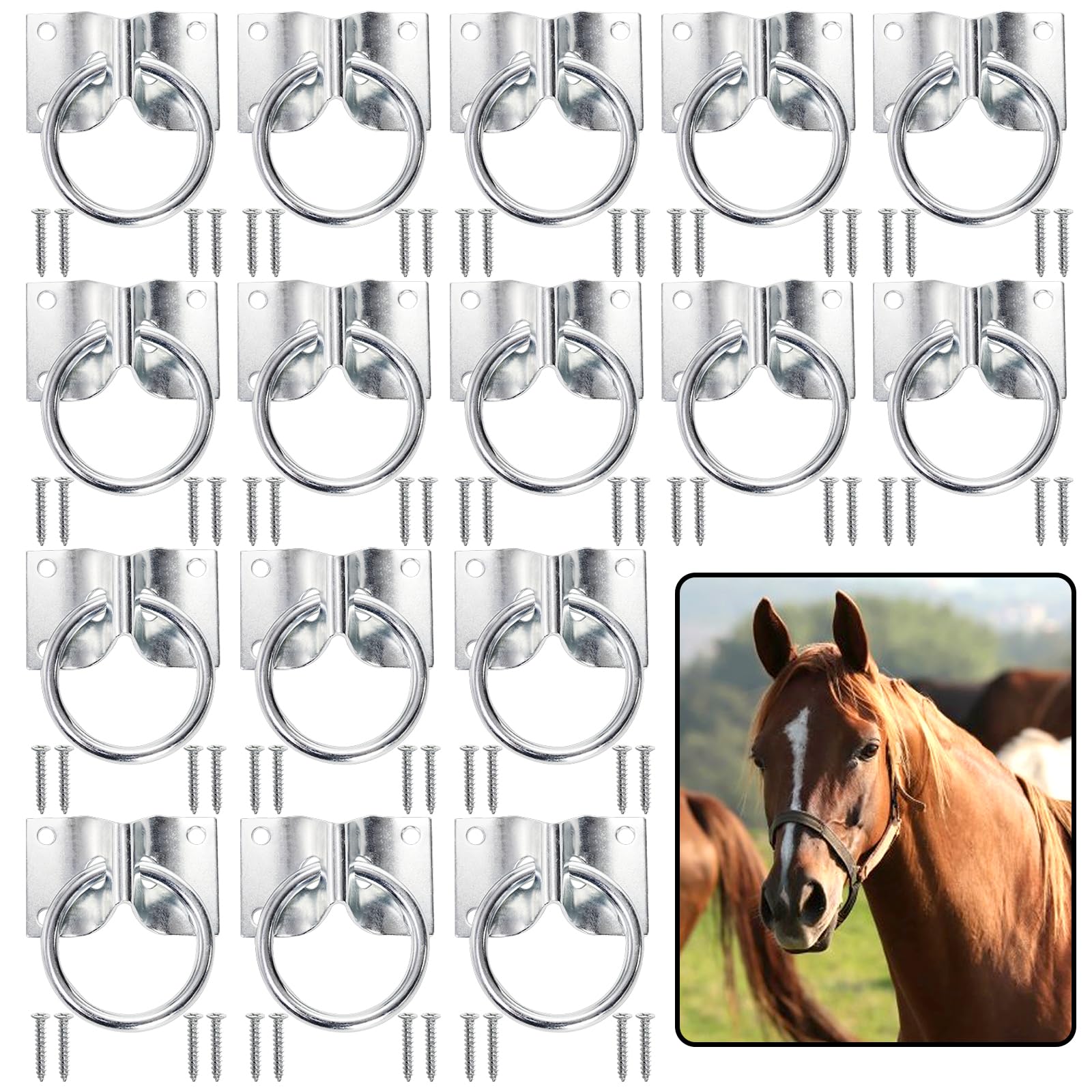 Cididu cross tie ring for horse, sturdy fastener for stalls and walls.