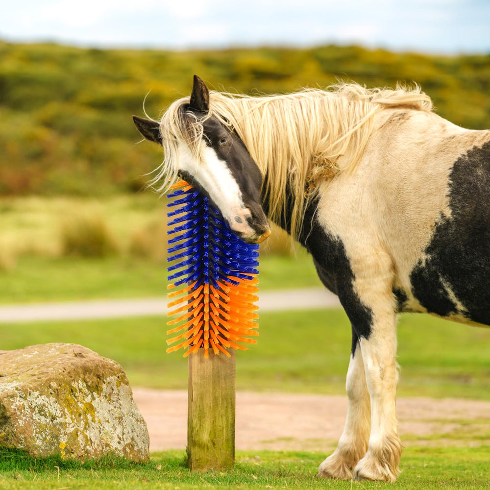 Cididu easy-mount design fits barns, corrals, or outdoor spaces.