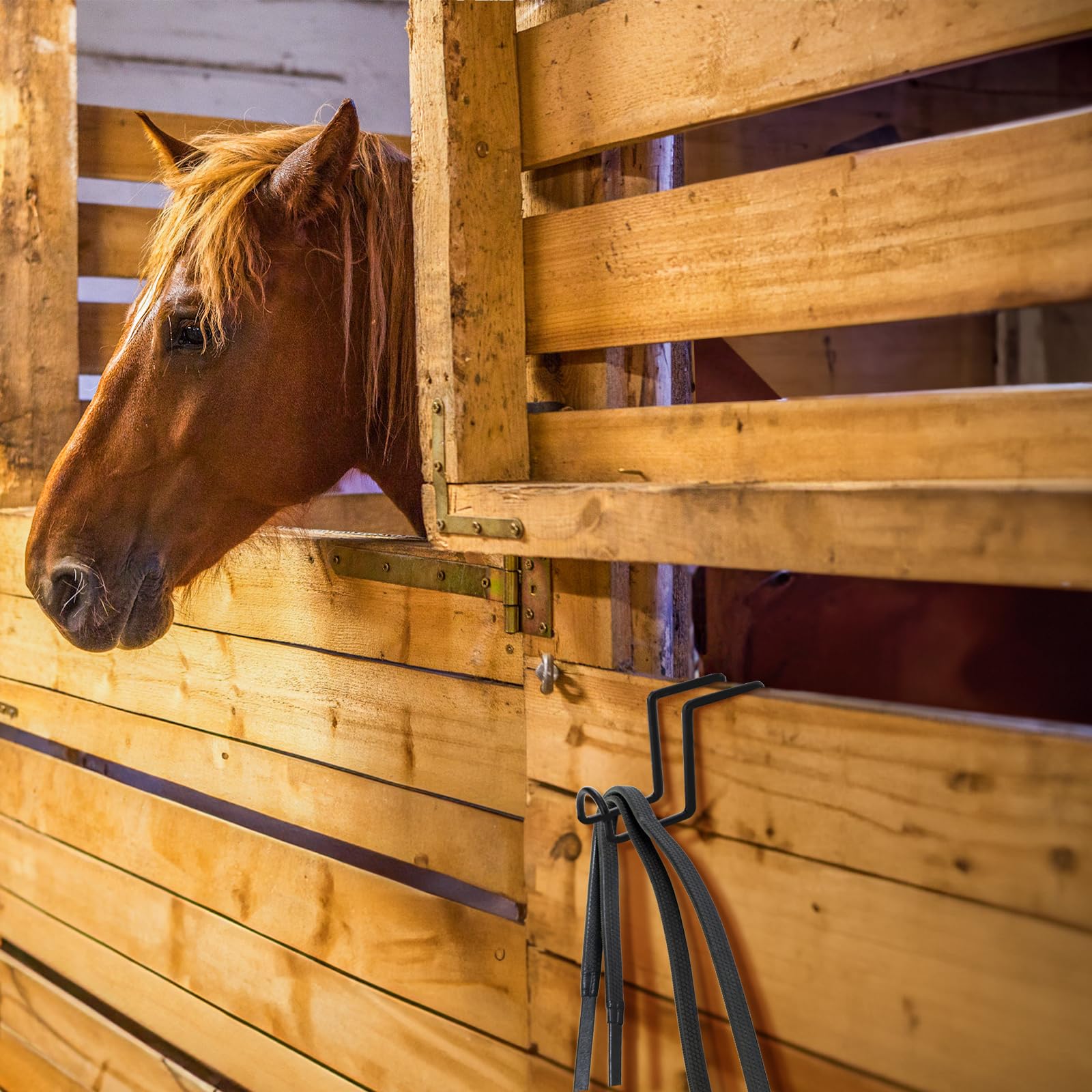 Cididu Horse Stall Accessories Tack Hooks offer versatile barn storage.