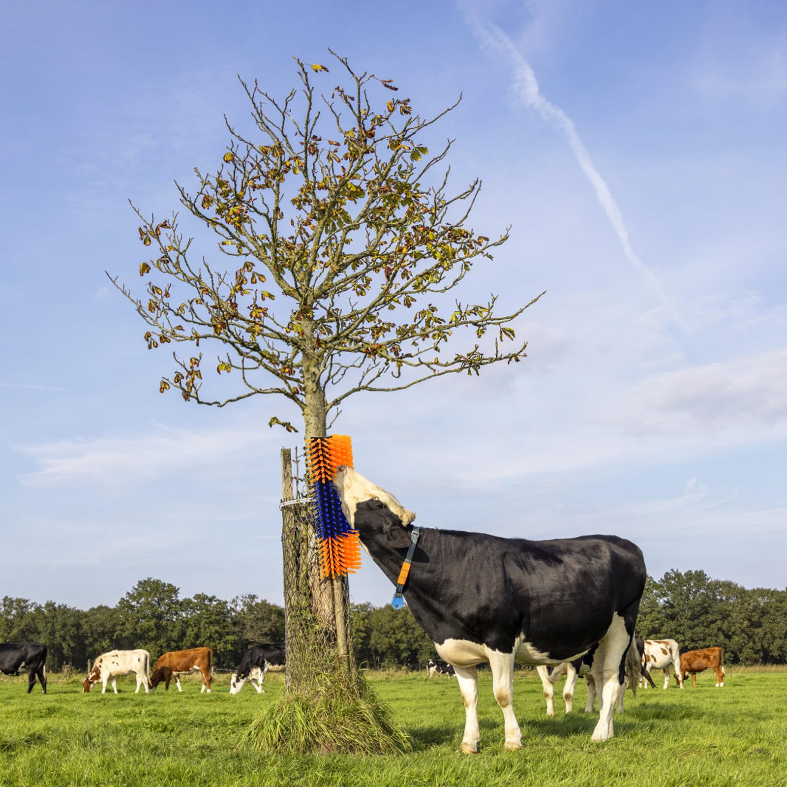 Cididu multi-animal scratching post suitable for goats, sheep, and cattle.