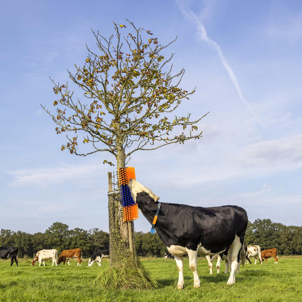 Cididu multi-animal scratching post suitable for goats, sheep, and cattle.