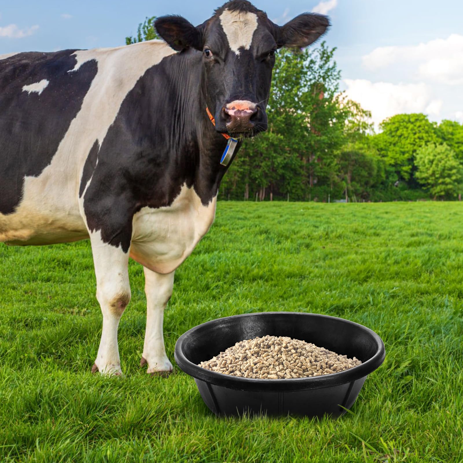 Cididu multi-use rubber tub for water or food on the farm.
