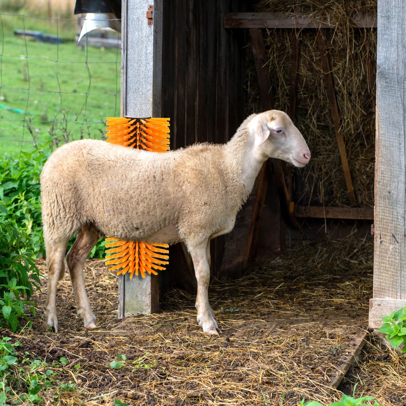 Cididu outdoor barn grooming station keeps livestock comfortable and tidy.